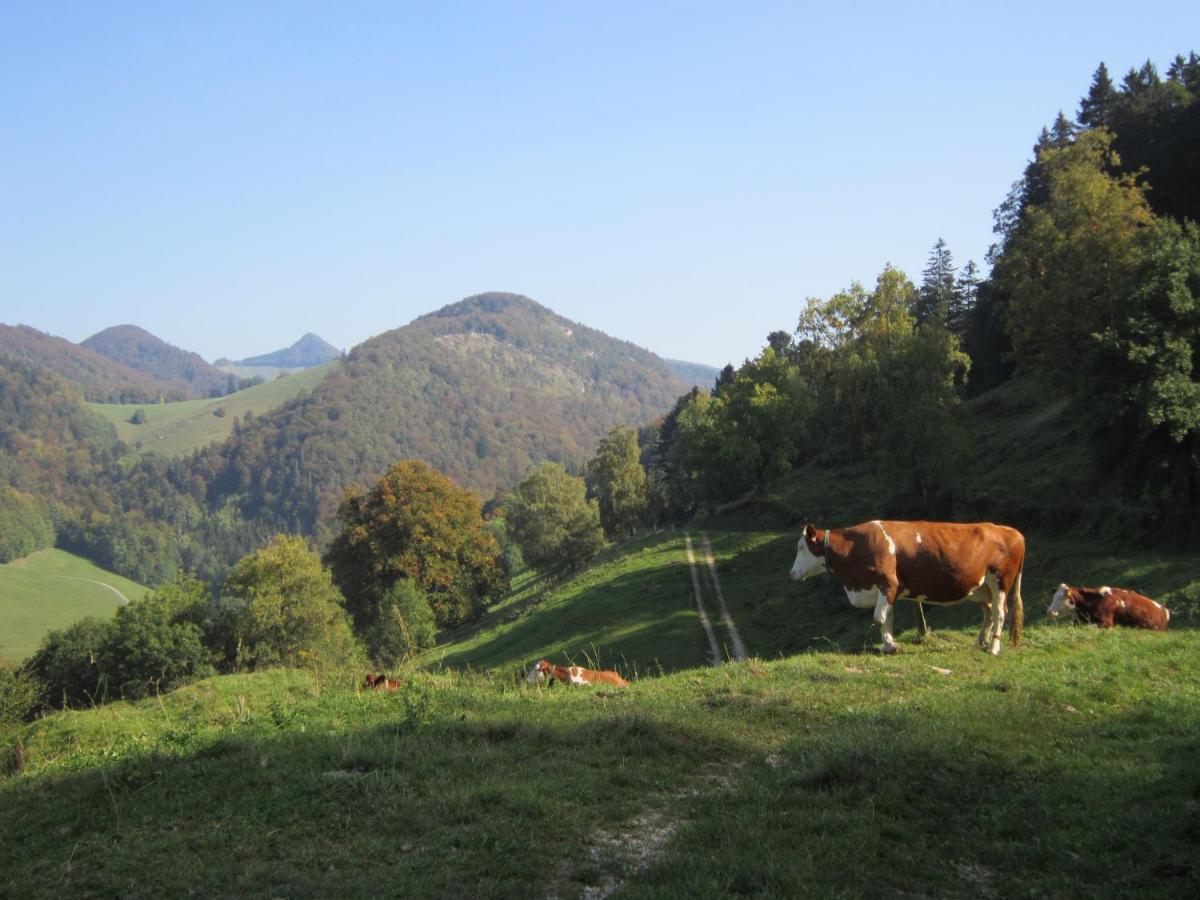 Gast Und Hof Spittel Bed & Breakfast Langenbruck Exterior photo